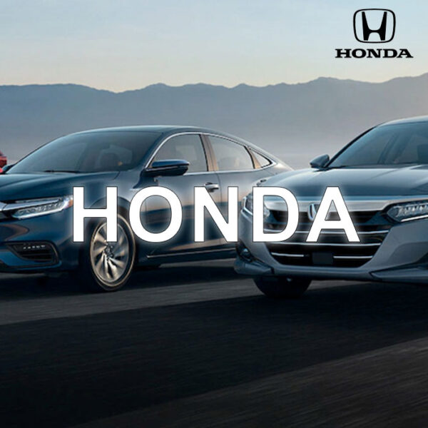 Honda Anti-Theft Device