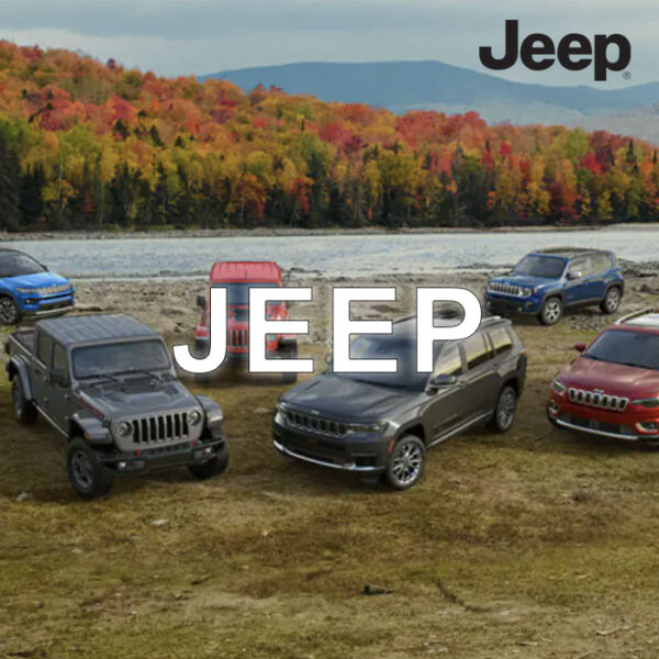 Jeep Anti-Theft Device