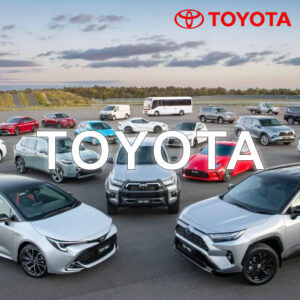 Toyota Anti-Theft Device