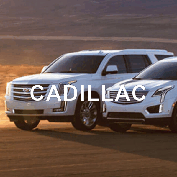 Cadillac Anti-Theft Device