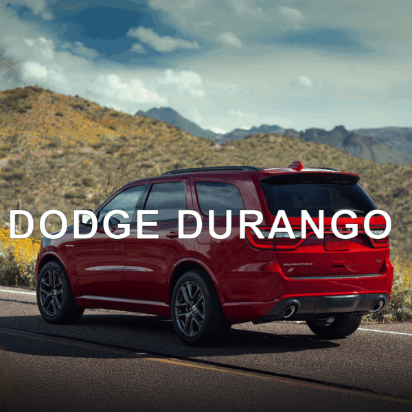 Dodge Durango Anti-Theft Device