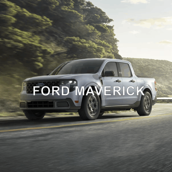 Ford Maverick Anti-Theft Device