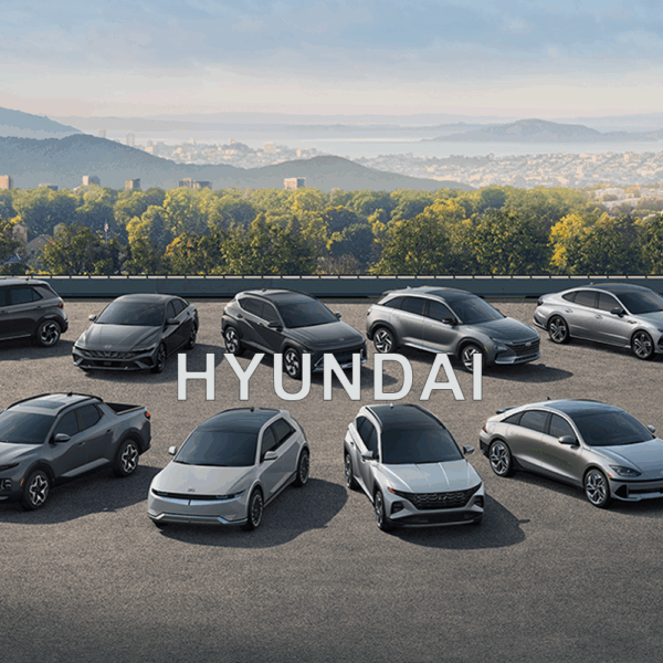 Hyundai Anti-Theft Device