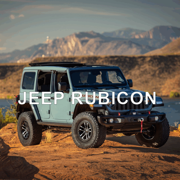 Jeep Rubicon Anti-Theft Device