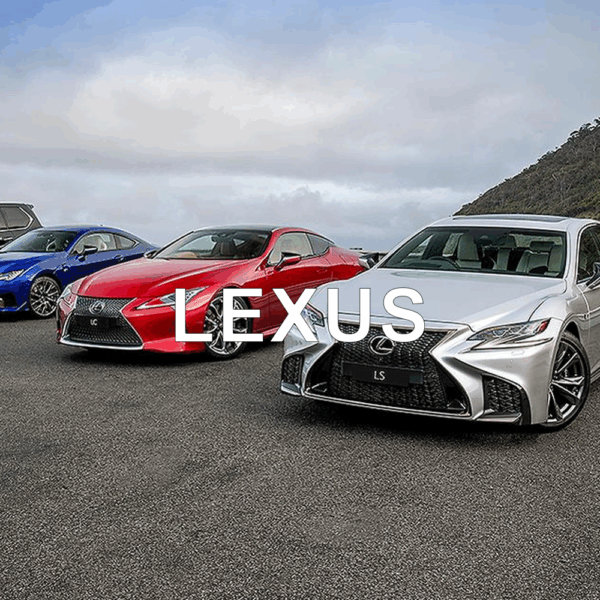 Lexus Anti-Theft Device