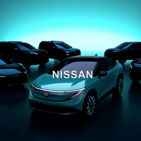 Nissan Anti-Theft Device