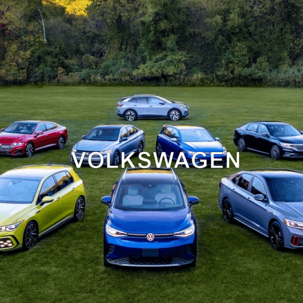 Volkswagen Anti-Theft Device