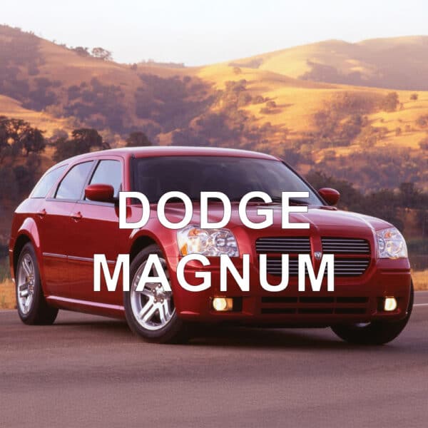 Dodge Magnum Anti-Theft Device