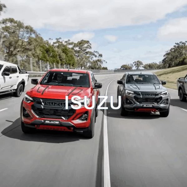 Isuzu Anti-Theft Device