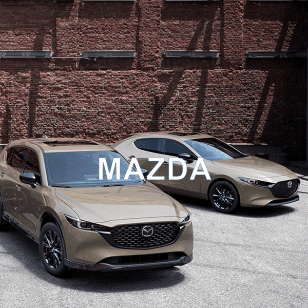 Mazda Anti-Theft Device