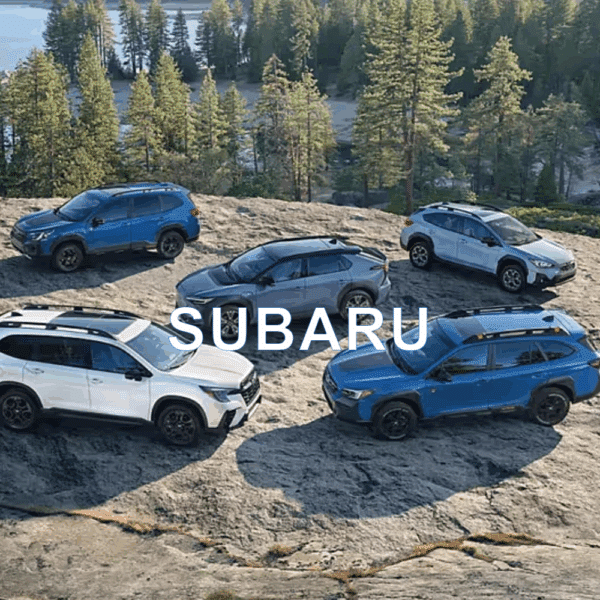 Subaru Anti-Theft Device